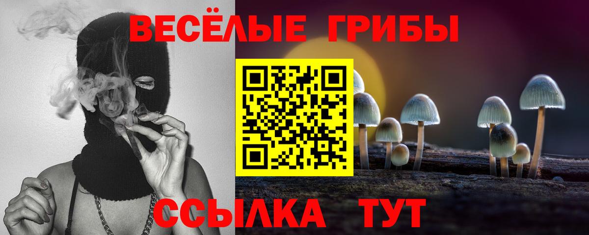 Псилоцибиновые грибы Psilocybine cubensis Муравленко